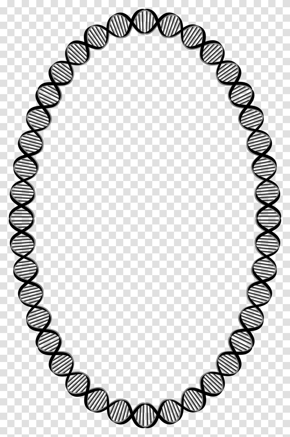 Banner Clipart Fancy Dna On A Paper Outline, Oval, Necklace, Jewelry, Accessories Transparent Png