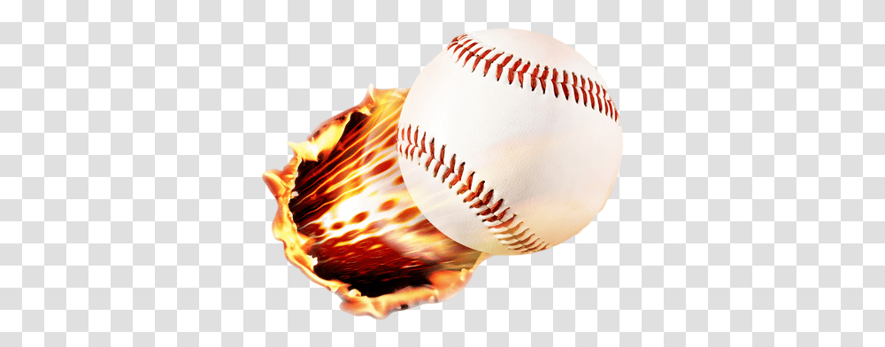 Banner Free Home Firstbase A Project Program All You Fire Cricket Ball, Team Sport, Sports, Balloon, Sea Life Transparent Png