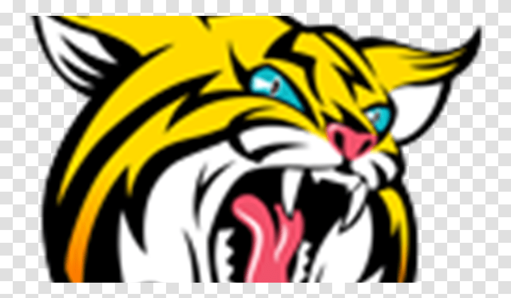 Banner Freeuse Download Bobcat Clipart Tiger Boca Raton High School Bobcat, Helmet, Apparel Transparent Png