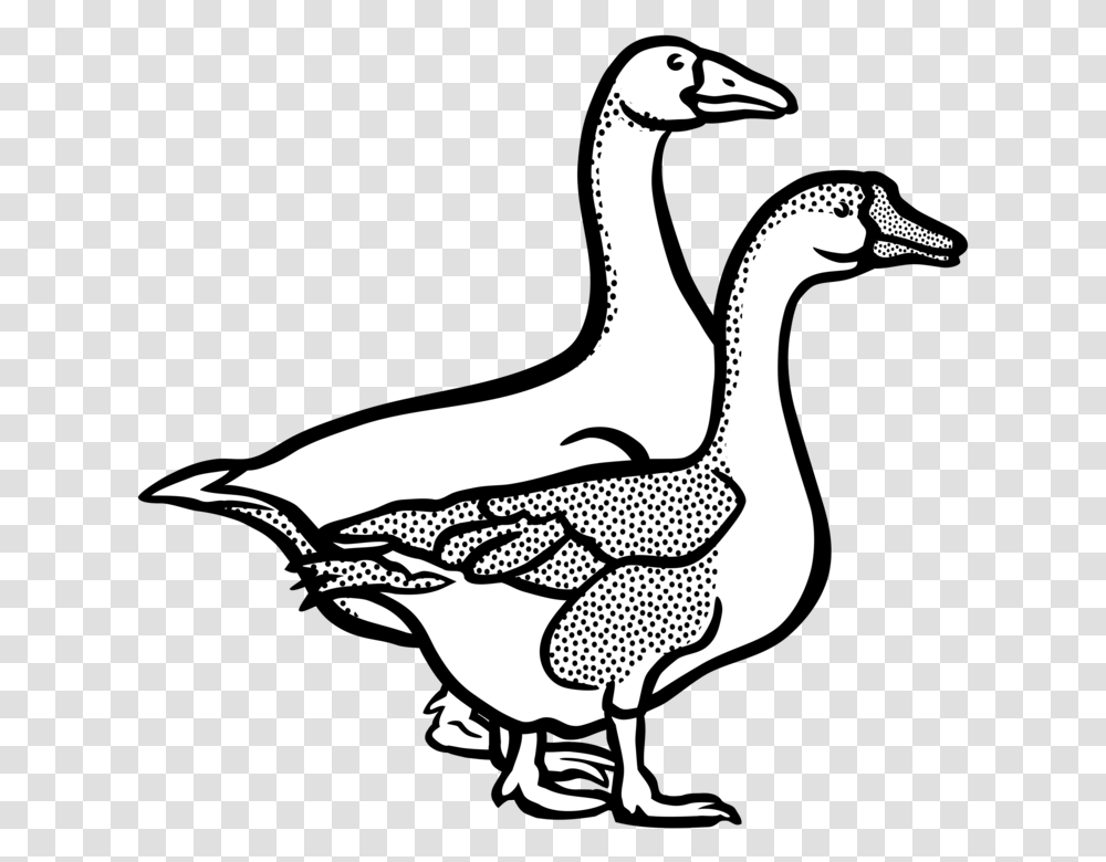 Banner Freeuse Download Canada Line Art Goose In Black And White, Bird, Animal, Duck, Anseriformes Transparent Png