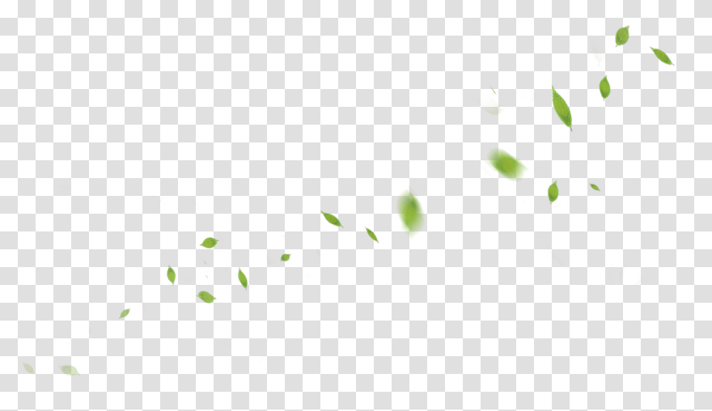 Banner Leaf, Paper, Confetti, Animal, Firefly Transparent Png
