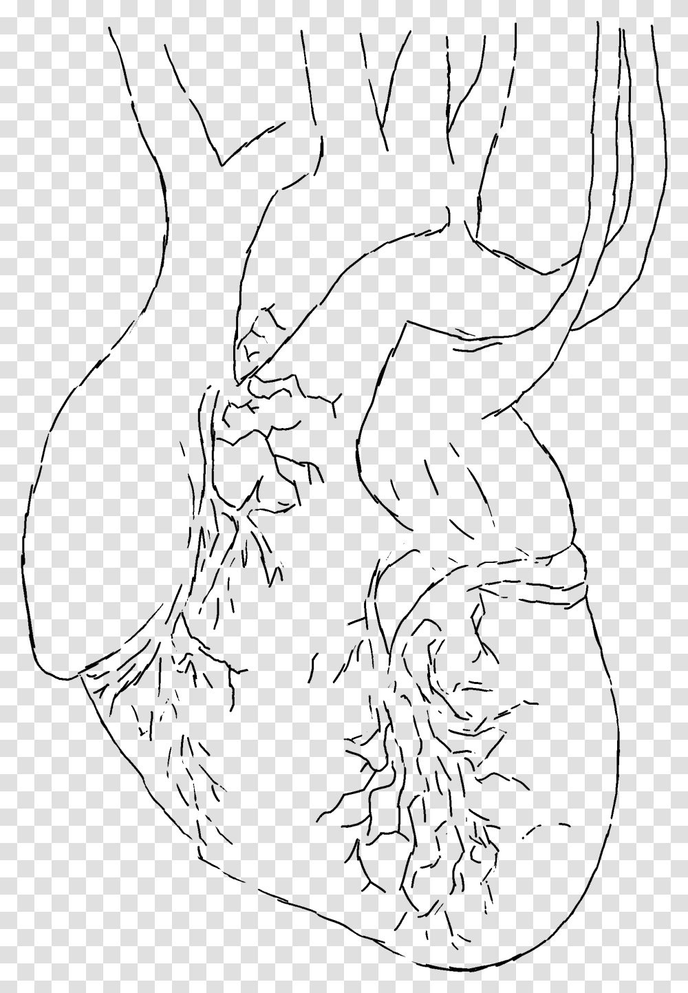 Banner Library Animator Drawing Hand Line Art, Gray, World Of Warcraft Transparent Png