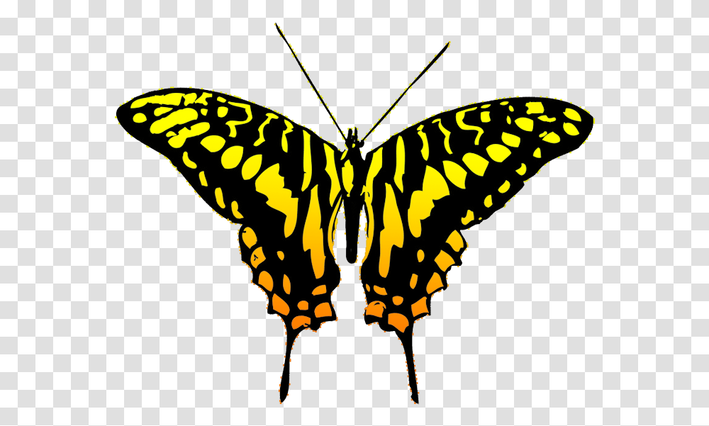 Banner Library Library Free Butterfly Clipart Black Butterfly Design, Insect, Invertebrate, Animal, Monarch Transparent Png