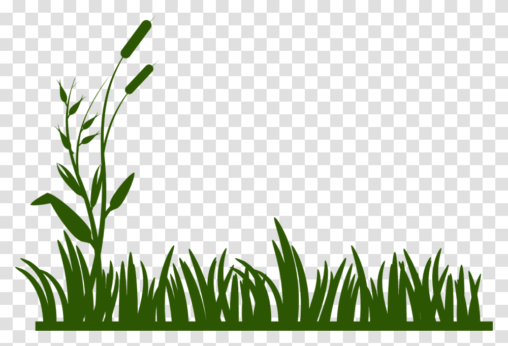 Banner Royalty Free Download Swamp Clipart Spring Free Black And White Grass, Plant, Green, Flower, Blossom Transparent Png