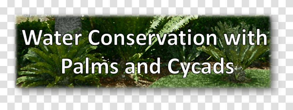 Banner Water Conservation, Plant, Outdoors, Vase, Jar Transparent Png