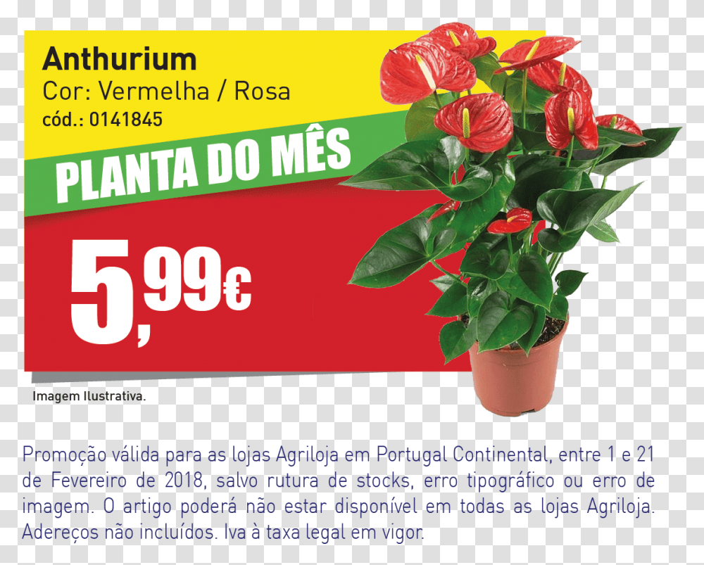 Banner Website Agril Anthurium, Plant, Flower, Vase, Jar Transparent Png