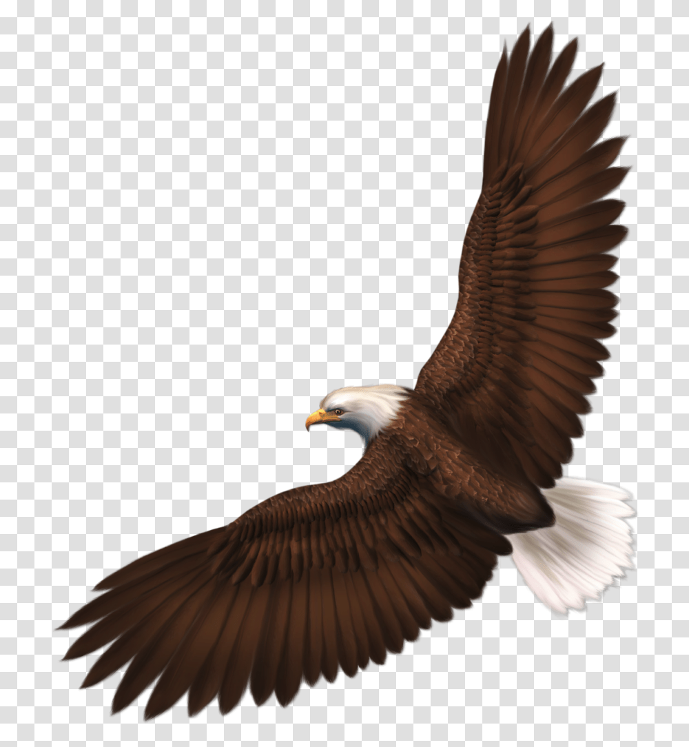 Banners Clipart Eagle Of Winging, Bird, Animal, Bald Eagle, Flying Transparent Png