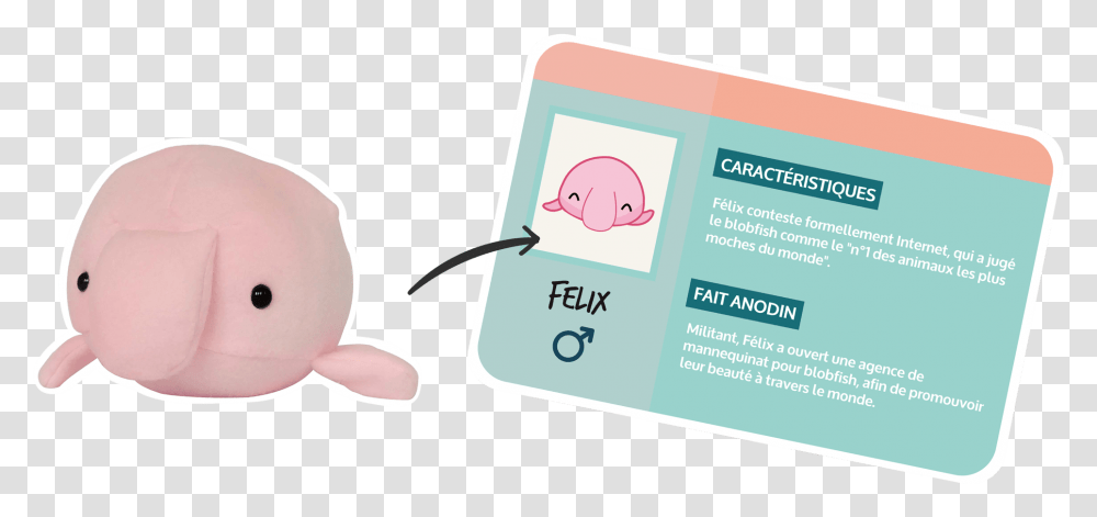 Banniere Blobfish Baby Toys, Flyer, Poster, Paper Transparent Png
