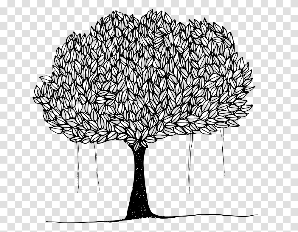 Banyan Banyan Tree Canopy Leafy Trees Plant Shade Drawing Of Peepal Tree, Gray, World Of Warcraft Transparent Png