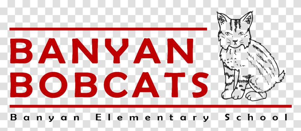 Banyan Elementary School Domestic Short Haired Cat, Word, Alphabet, Number Transparent Png