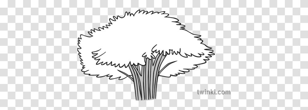 Banyan Tree Black And White Banyan Tree Black And White Clipart, Animal, Bird, Plant, Flower Transparent Png