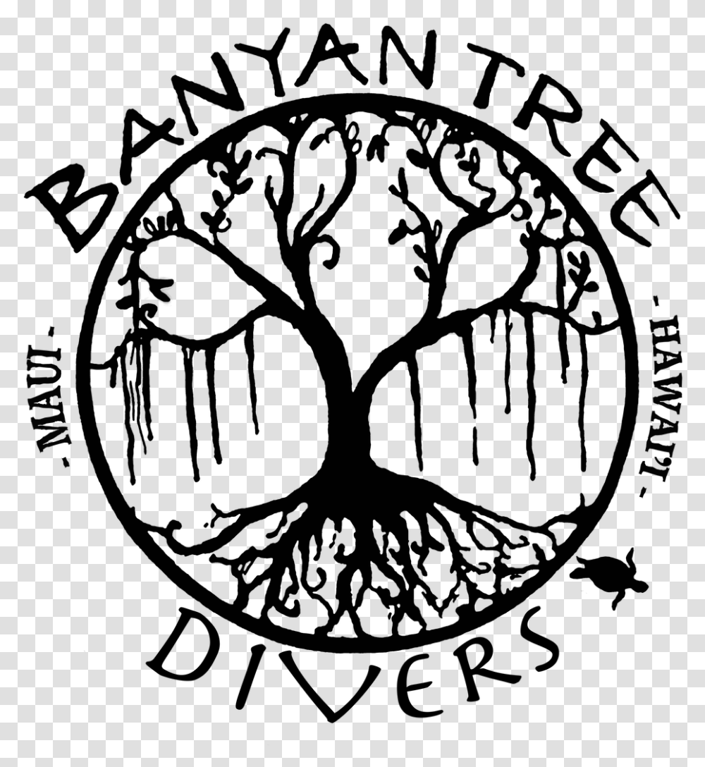 Banyan Tree Divers Maui Banyan Tree Line Art, Spider Web, Glass, Grenade, Bomb Transparent Png