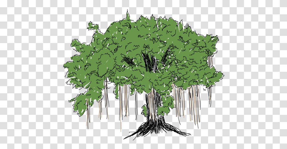 Banyan Tree Stem, Bush, Vegetation, Plant, Green Transparent Png