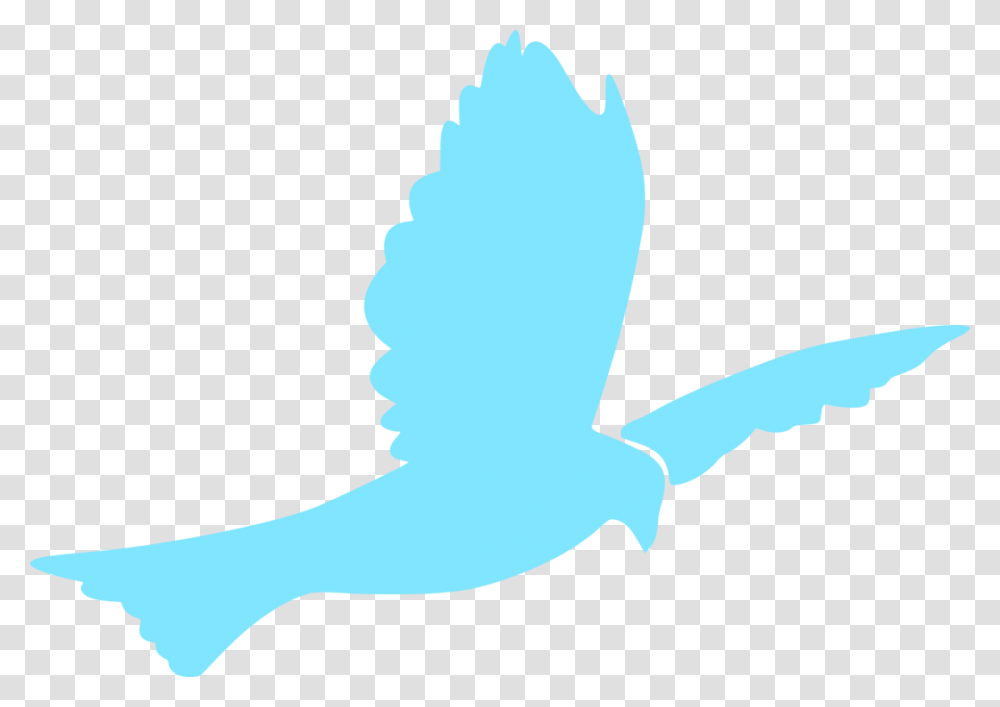 Baptism Background Dove Clipart Blue Dove, Animal, Mammal, Person, Silhouette Transparent Png