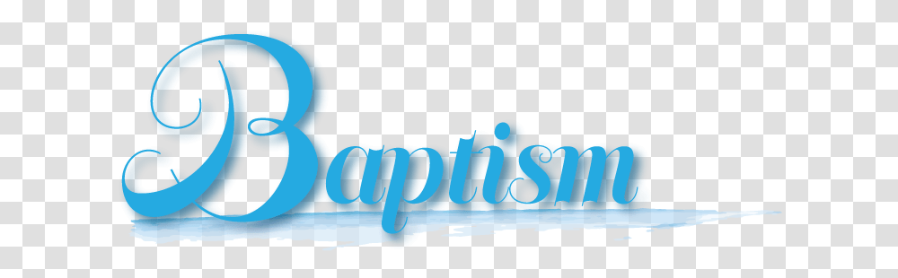 Baptisms Horizontal, Text, Animal, Outdoors, Sea Life Transparent Png