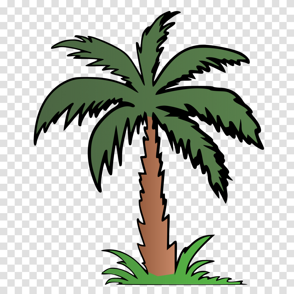 Barbecue Freeuse Library Spit Braai Huge Freebie Download, Palm Tree, Plant, Arecaceae Transparent Png