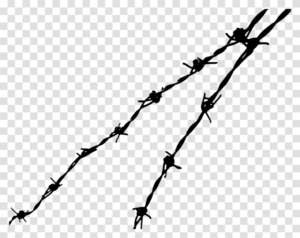 Barbed Wire Fence Concertina Wire Barbed Tape, Gray, World Of Warcraft, Halo Transparent Png