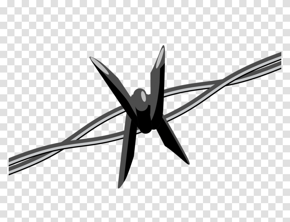 Barbed Wire III, Tool, Animal, Spider, Invertebrate Transparent Png