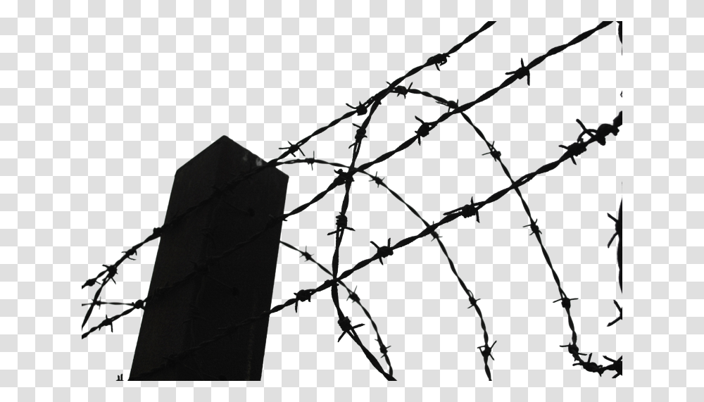 Barbed Wire Images Pictures Photos Arts Transparent Png