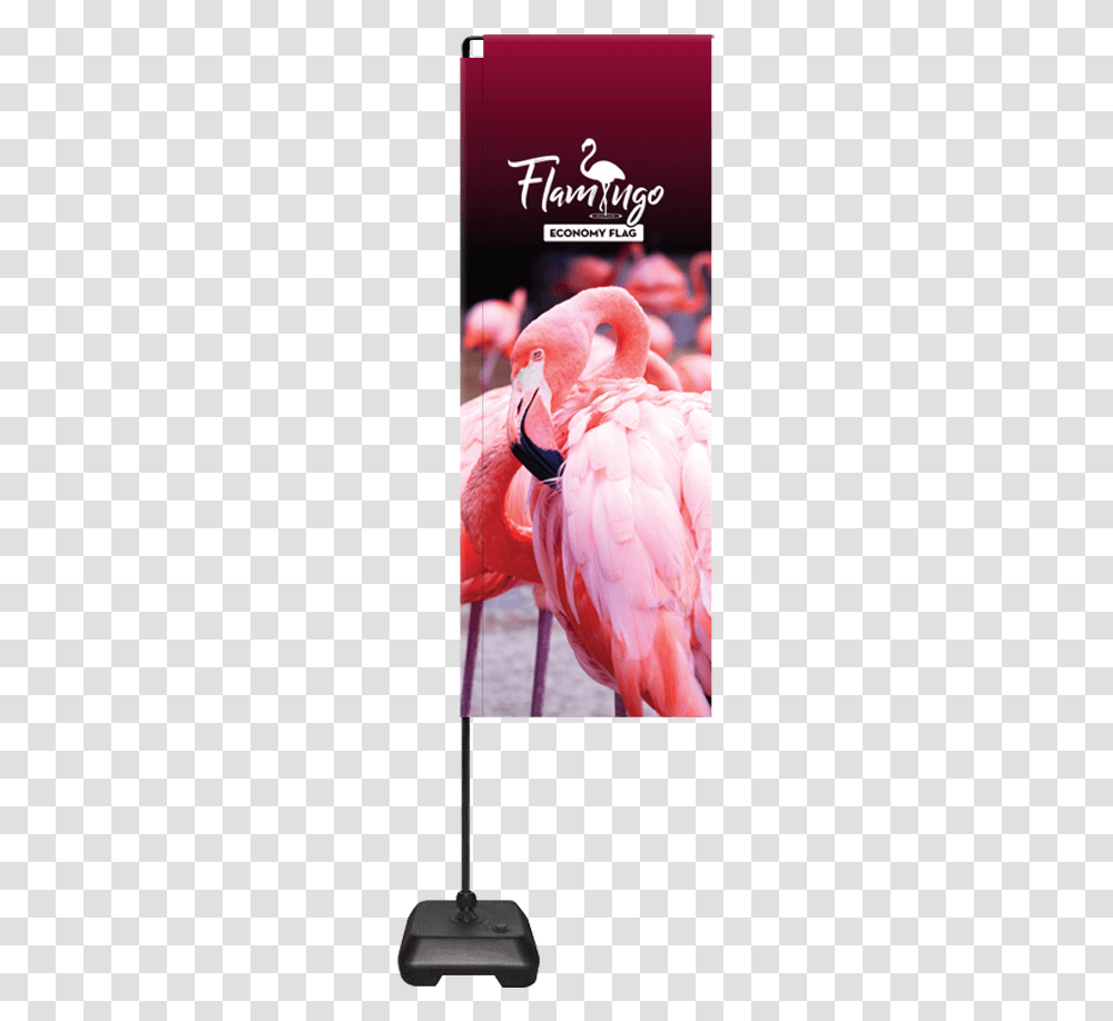 Barbers Sign Barber Pole Pavement Sign Hair Cut Sign Flamingo Flag Uk, Bird, Animal, Chicken, Poultry Transparent Png
