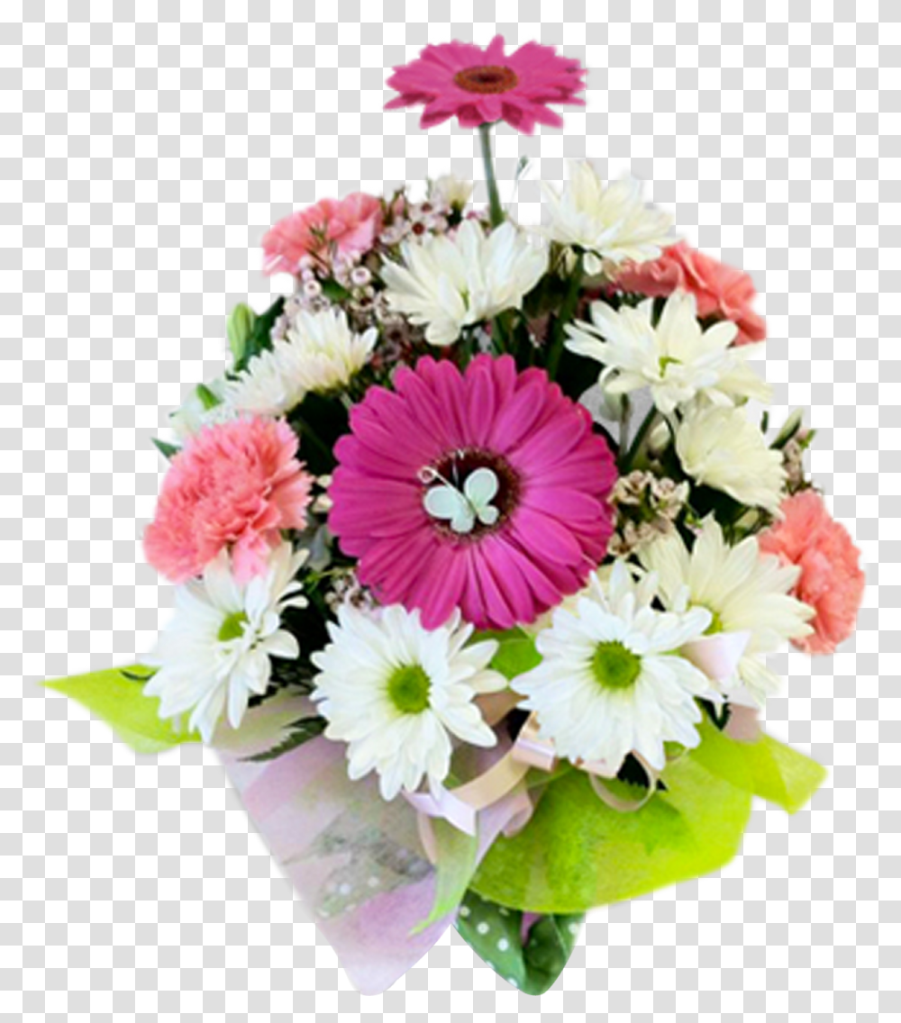 Barberton Daisy, Plant, Flower, Blossom, Flower Bouquet Transparent Png