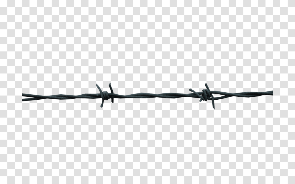 Barbwire Images, Barbed Wire, Lizard, Reptile, Animal Transparent Png