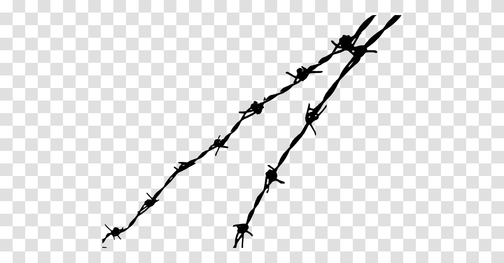 Barbwire, Tool, Barbed Wire, Bird, Animal Transparent Png