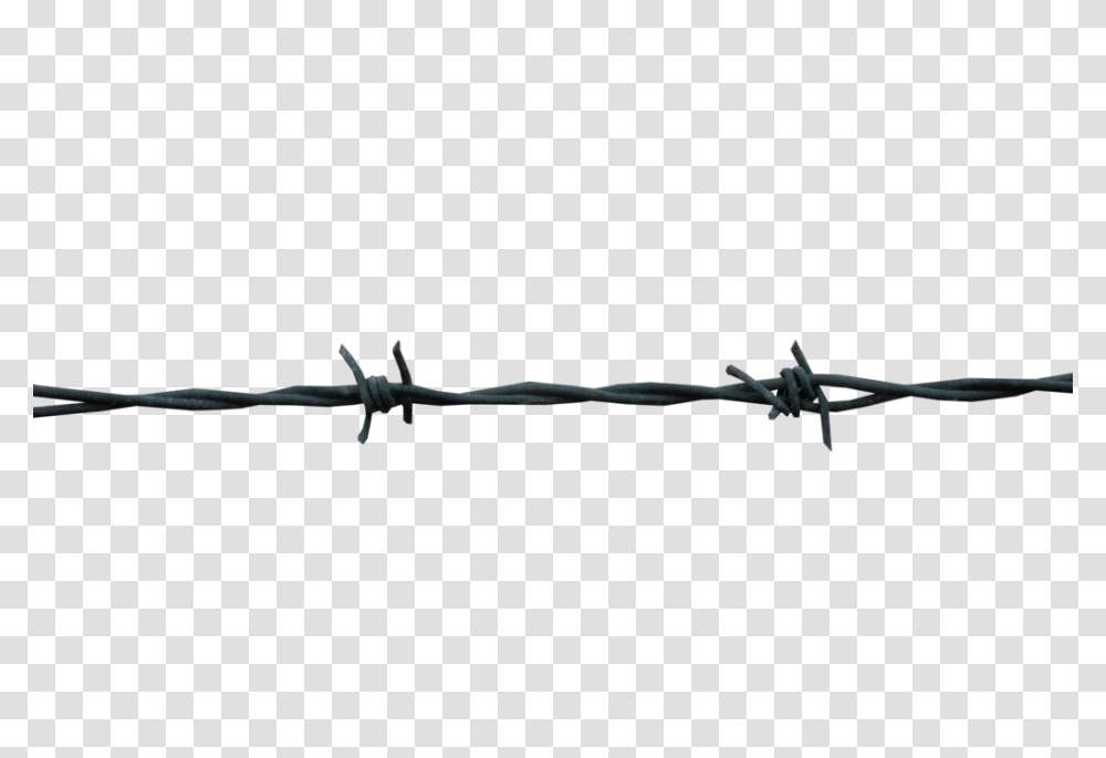 Barbwire, Tool, Barbed Wire, Lizard, Reptile Transparent Png
