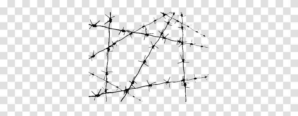 Barbwire, Tool, Barbed Wire, Spider Web Transparent Png