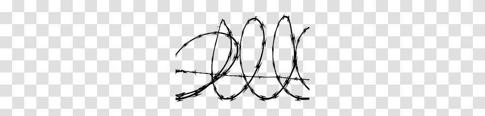 Barbwire, Tool, Pattern, Spider Web Transparent Png