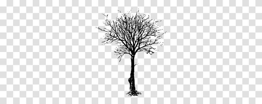 Bare Nature, Gray, World Of Warcraft Transparent Png