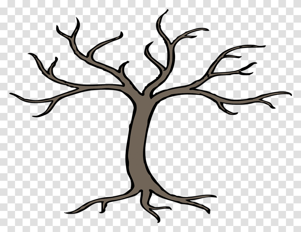 Bare Apple Tree Bare Apple Tree Images, Plant, Root, Bird, Animal Transparent Png