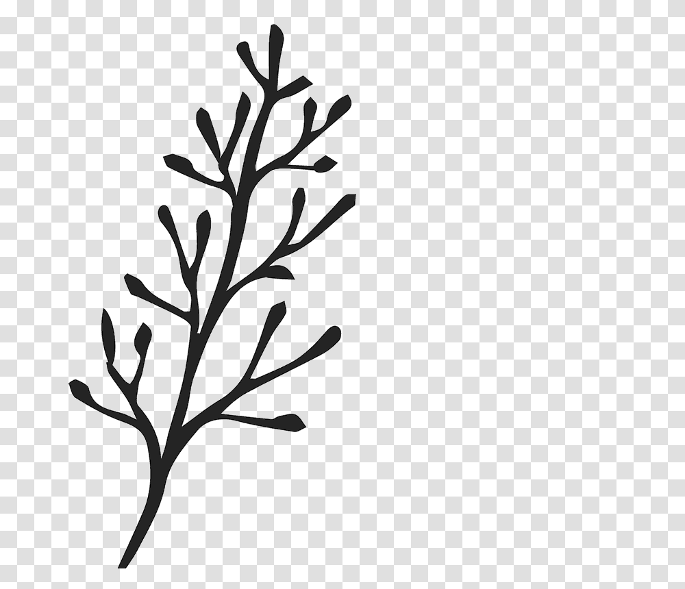 Bare Branch Sketch Rubber Stamp Flower Leaf Stamps Stamptopia, Pineapple, Fruit, Plant, Food Transparent Png