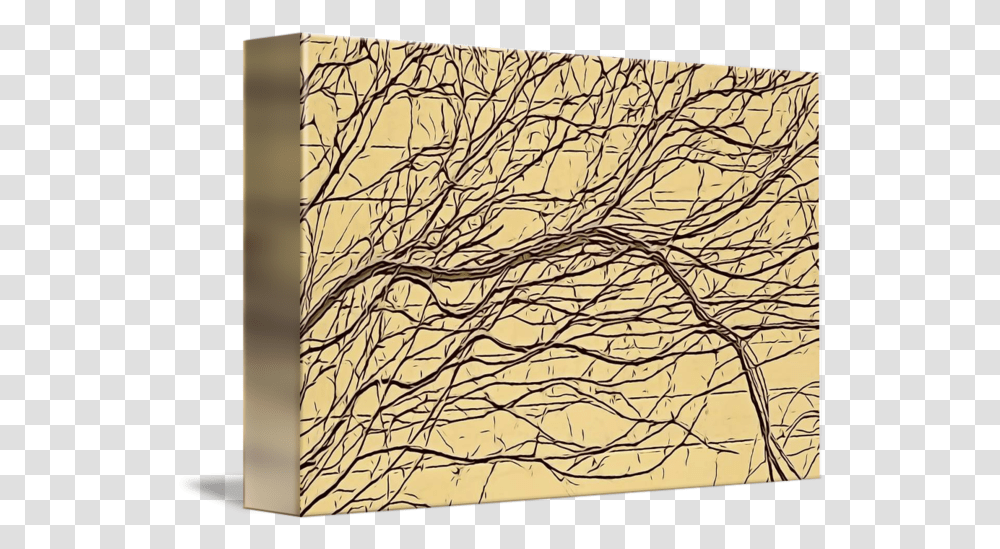 Bare Ivy Vines Tree, Plant, Bird, Text, Art Transparent Png