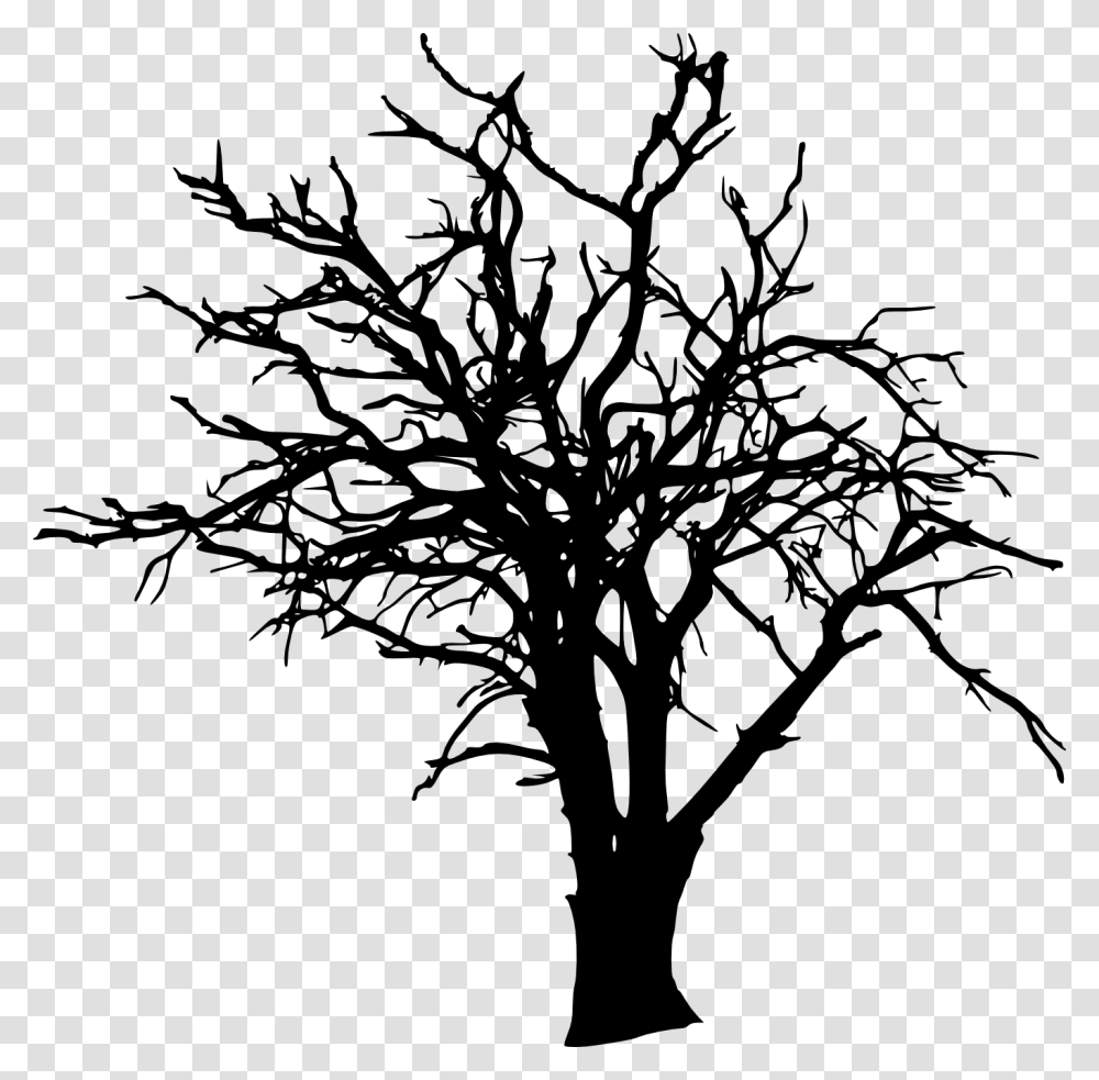 Bare Tree Background, Plant, Stencil, Silhouette, Tree Trunk Transparent Png