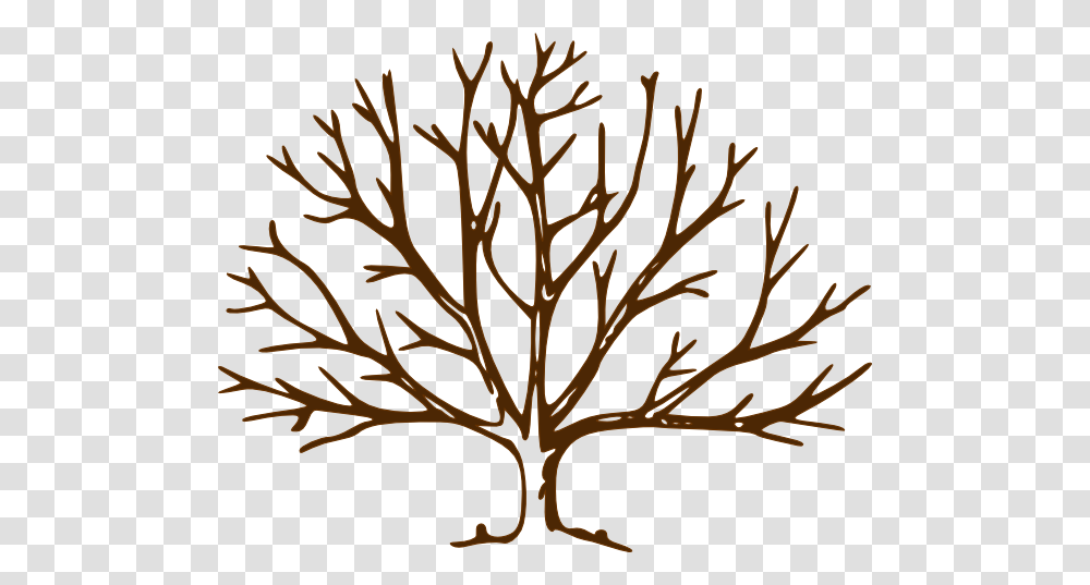 Bare Tree Bare Tree Clip Art, Leaf, Plant, Sunlight Transparent Png
