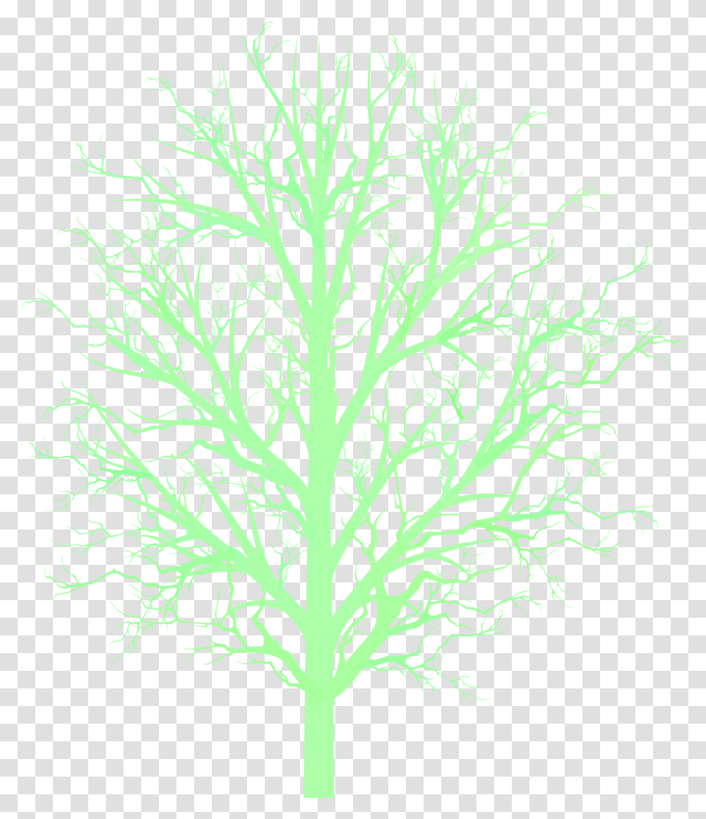 Bare Tree Branc Darkness, Plant, Leaf, Jar, Vase Transparent Png