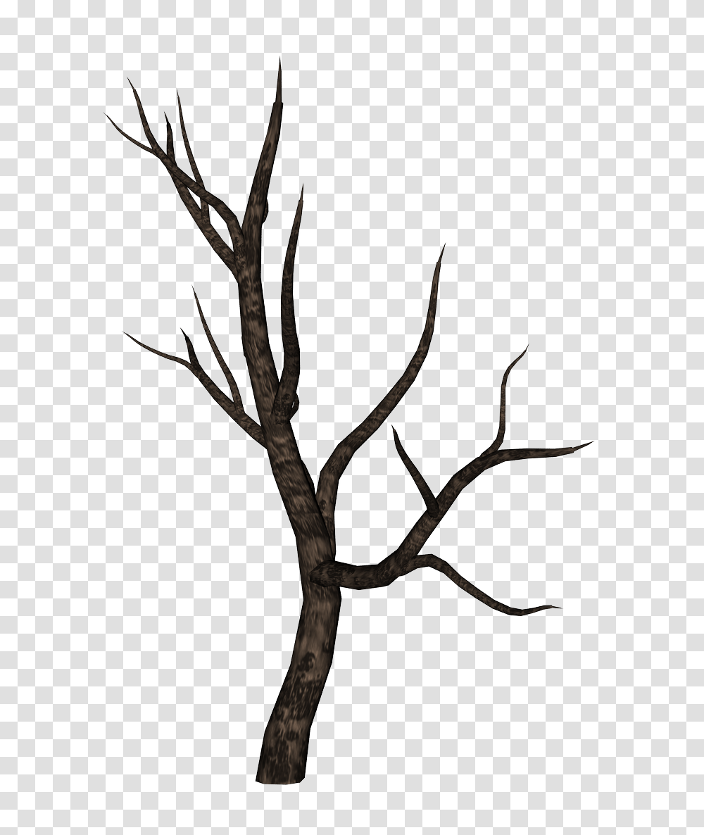 Bare Tree Branch Image, Plant, Tree Trunk, Silhouette, Arrow Transparent Png