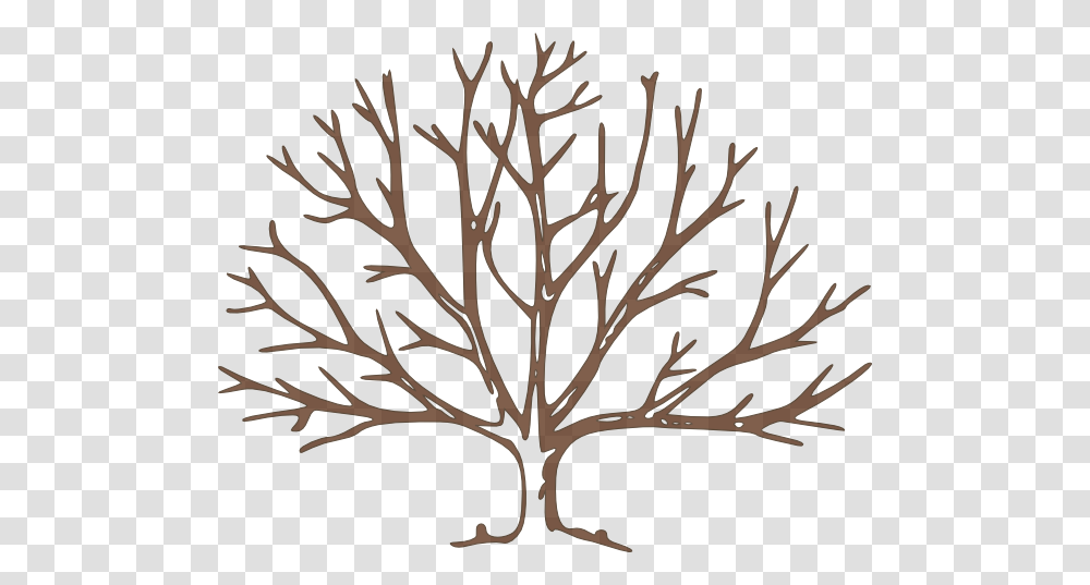 Bare Tree Brown Bare Tree Clip Art, Leaf, Plant, Stencil, Root Transparent Png