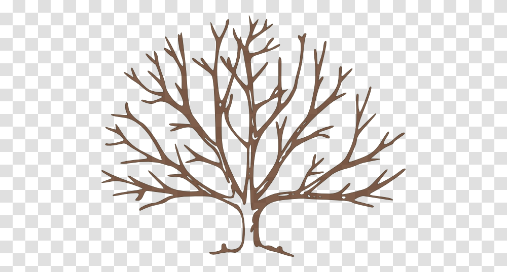 Bare Tree Clip Art, Leaf, Plant, Stencil, Root Transparent Png