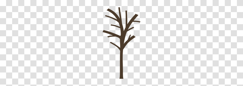 Bare Tree Clip Art, Plant, Cross, Leaf, Seed Transparent Png