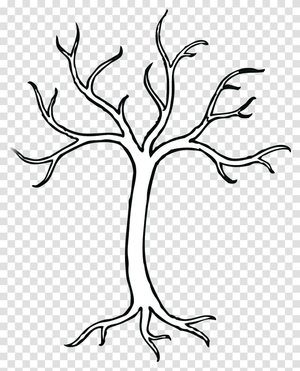 Bare Tree Clip Art, Plant, Root, Stencil, Flower Transparent Png
