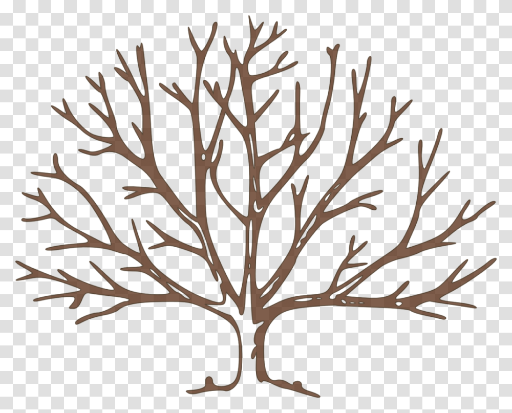 Bare Tree Clipart Draw A Winter Tree, Nature, Night, Outdoors, Moon Transparent Png