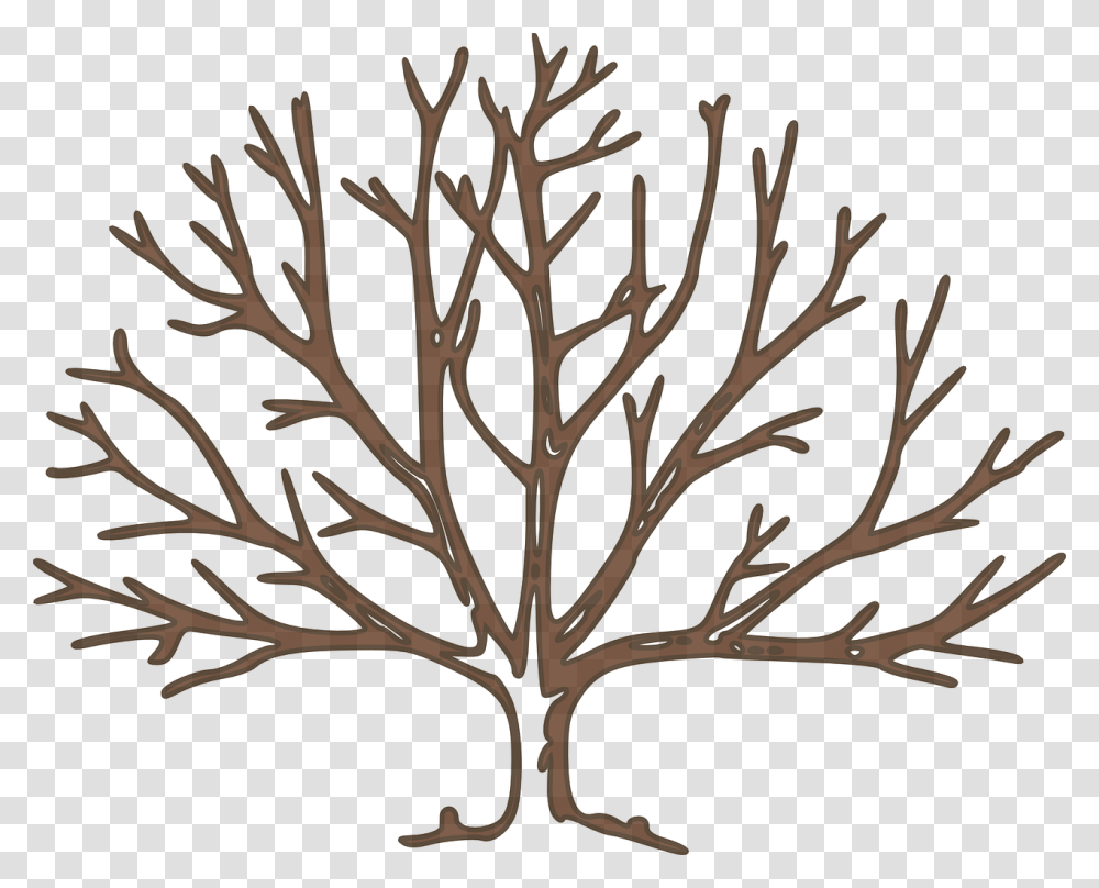 Bare Tree Clipart, Nature, Plant, Outdoors, Pattern Transparent Png