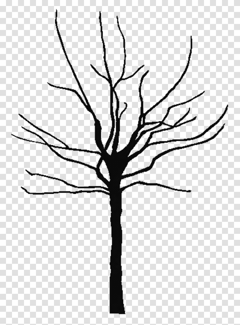 Bare Tree Clipart, Stencil, Silhouette, Plant, White Transparent Png