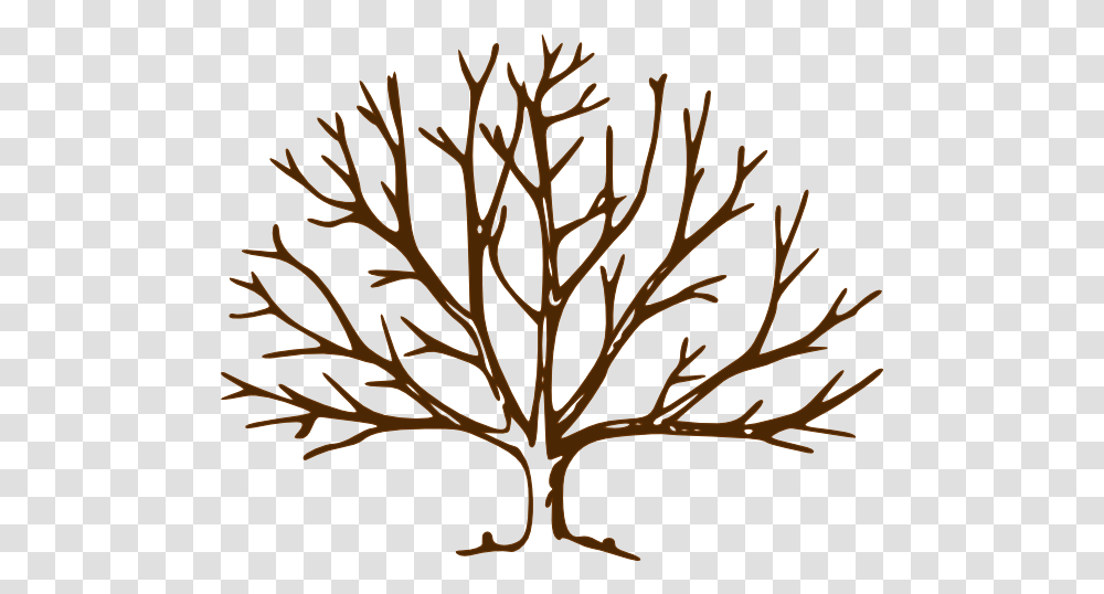 Bare Tree Drawing Free Download Bare Tree Clipart, Leaf, Plant, Grain, Food Transparent Png