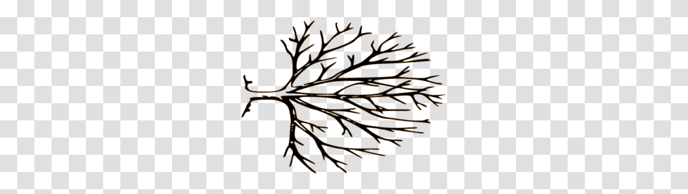 Bare Tree Md, Ornament, Pattern, Plant, Lighting Transparent Png