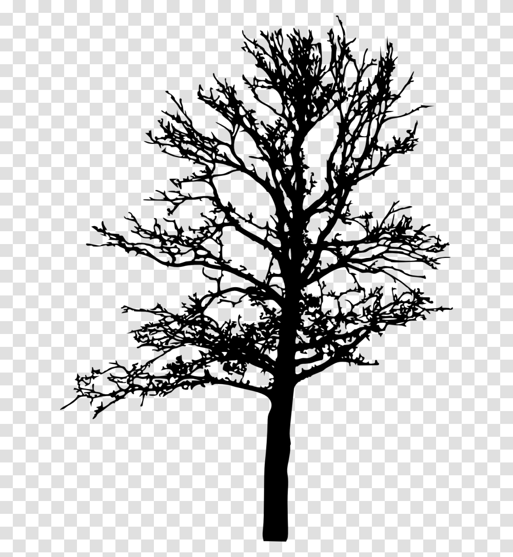 Bare Tree Silhouette, Gray, World Of Warcraft Transparent Png