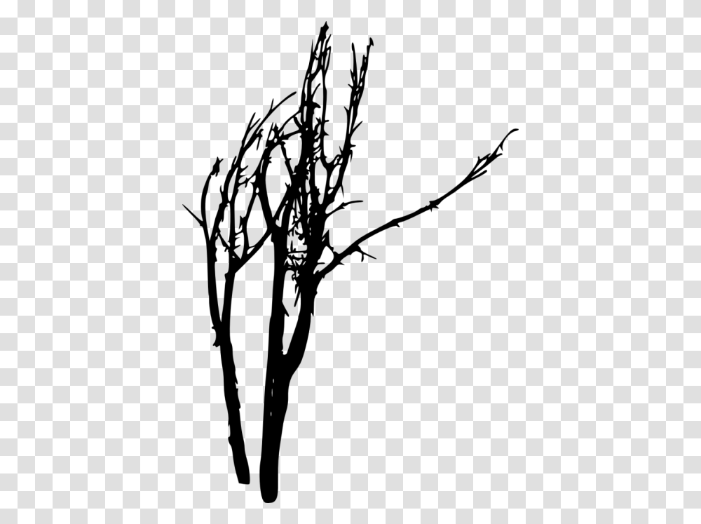 Bare Tree Silhouette, Plant, Green, Flower, Blossom Transparent Png