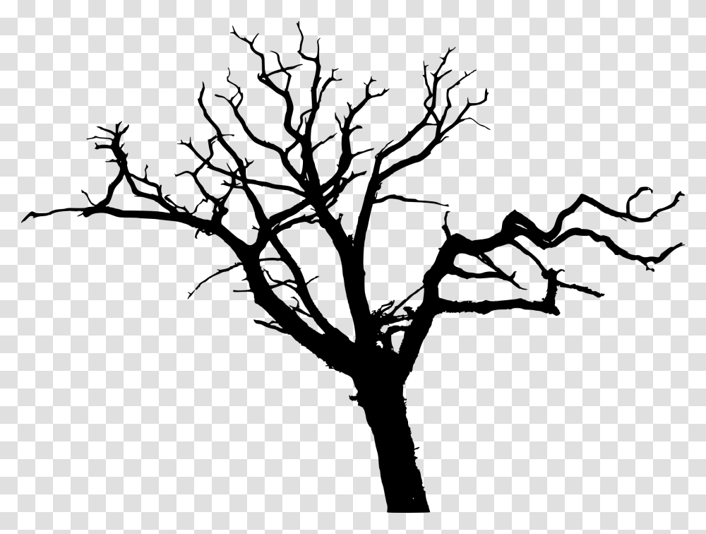 Bare Tree Silhouette, Plant, Stencil, Leaf, Tree Trunk Transparent Png